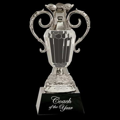 Crystal Cup with Silver Metal Handles On Black Pedestal Base