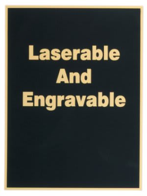Black/Gold Brass Plated Steel Plaque Plate